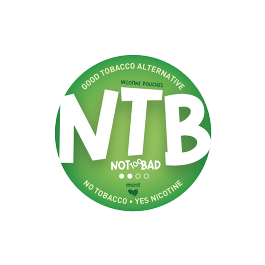 NTB 6mg Mint Nicotine Pouches - www.justgovape.co.uk