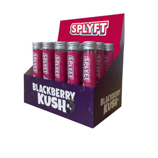 SPLYFT Cannabis Terpene Infused Rolling Cones – Blackberry Kush (BUY 1 GET 1 FREE) - www.justgovape.co.uk